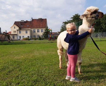 Dziewczynka przytula Alpakę - powiększ