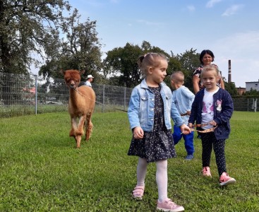 Dzieci spacerują ze zwierzętami - powiększ