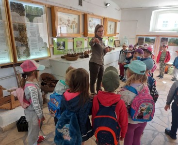 Na zdjęciu dzieci zwiedzają Izbę Leśno-Przyrodniczą w Nadleśnictwie Zawadzkie. - powiększ