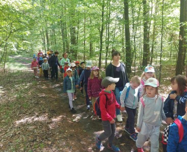Na zdjęciu dzieci podczas zajęć terenowych w lesie. - powiększ