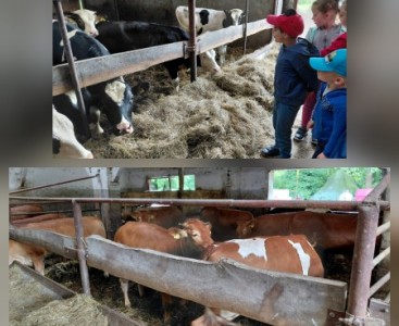 Zdjęcie przedstawia dzieci w trakcie zwiedzania.  - powiększ