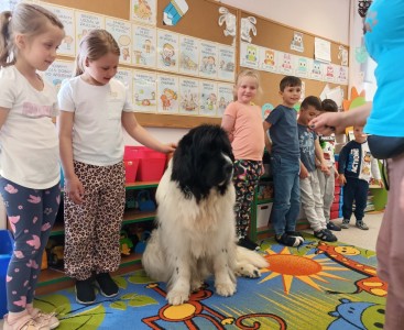Zdjęcie przedstawia dzieci w trakcie zajęć z dogoterapii.  - powiększ