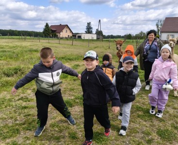 Zdjęcie przedstawia dzieci podczas spaceru z alpakami. - powiększ