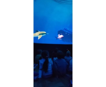 Zdjęcie przedstawia dzieci w trakcie seansu filmowego 'Oceanarium'. - powiększ