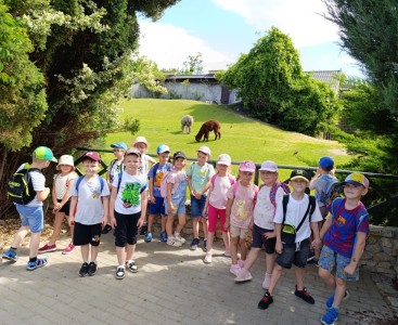 Zdjęcie prezentuje grupę Biedronek podczas wycieczki do opolskiego Zoo.  - powiększ